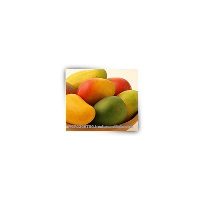 Mango pulp supplier from India