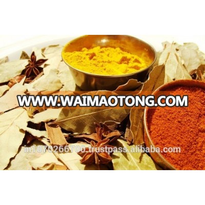 African Curry Powder