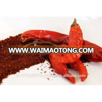 Red chilli powder price