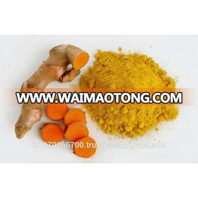 Turmeric root extract powder 95% curcumin