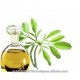 Moringa Essential Oil