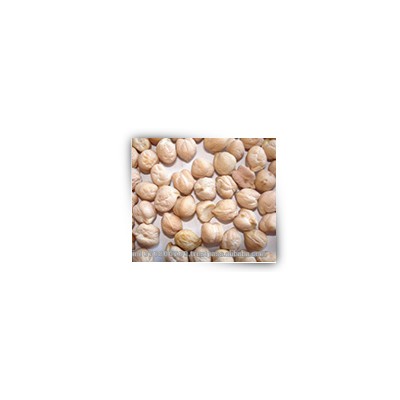 Kabuli chick peas 9 mm