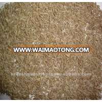 Cumin Seed Singapore 99%