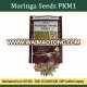 Bulk Moringa PKM1 Seeds